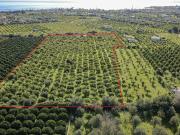 Terreno in vendita di 17570 m² in Via Fangello