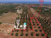 Terreno in vendita di 17575 m² in Contrada MORGICCHIO