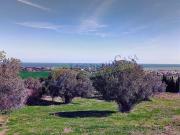 Terreno in vendita di 17652 m² in Contrada Colle Santa...