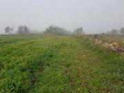 Terreno in vendita di 17766 m² in Via Ghermidita