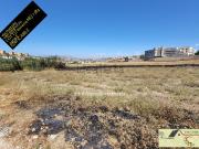 Terreno in vendita di 1784 m² in Via Giovanni Amendola