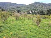 Terreno in vendita di 18000 m² in Contrada Fiumara