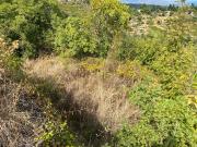 Terreno in vendita di 18000 m² in Via della Regione, 365