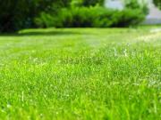 Terreno in vendita di 18000 m² in Via Medaglie d&apos Oro