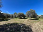 Terreno in vendita di 1807 m² in Via San Benedetto