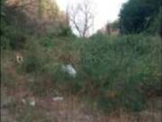 Terreno in vendita di 181660 m² in Via del Progresso