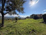 Terreno in vendita di 1830 m² in Via Farense