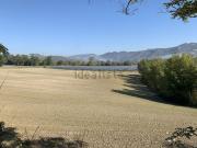 Terreno in vendita di 183506 m² in Via Flaminia Nord, 3