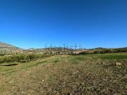 Terreno in vendita di 18690 m² in Via Ramella