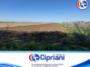 Terreno in vendita di 18938 m² in Via San Francesco a...