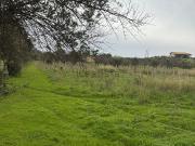 Terreno in vendita di 19000 m² in Contrada Roveto Noto