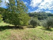 Terreno in vendita di 1900 m² in Via Madonna della Strada