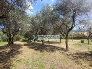 Terreno in vendita di 1900 m² in Vicolo Serravalle