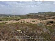 Terreno in vendita di 19035 m² in Strada Provinciale 11