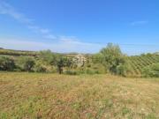 Terreno in vendita di 19070 m² in Contrada Teto