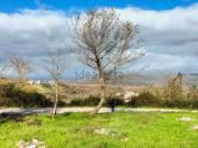 Terreno in vendita di 19074 m² in Contrada Bauso