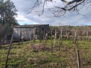Terreno in vendita di 1950 m² in Contrada Dalla Chiesa