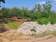 Terreno in vendita di 1950 m² in Strada COMUNALE CUCUMO