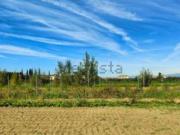 Terreno in vendita di 1950 m² in Via di Montalbano