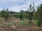 Terreno in vendita di 1950 m² in Via giardini