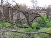 Terreno in vendita di 20 m² in Strada Statale 106 Jonica