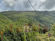 Terreno in vendita di 200000 m²