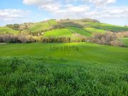 Terreno in vendita di 200000 m² in Contrada Santa Maria...