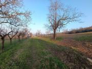Terreno in vendita di 200000 m² in Strada delle Vigne