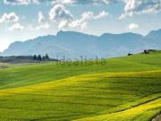 Terreno in vendita di 200000 m² in Via Paglierine, 31