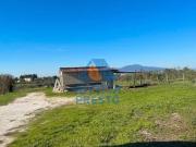 Terreno in vendita di 20000 m²