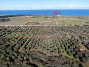 Terreno in vendita di 20000 m² in Contrada BUFOLARIA