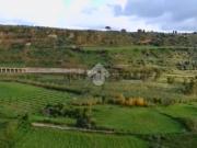 Terreno in vendita di 20000 m² in Contrada Cerri