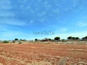 Terreno in vendita di 20000 m² in Contrada Chiani