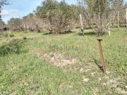 Terreno in vendita di 20000 m² in Contrada Solforato