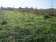 Terreno in vendita di 20000 m² in Via di Stelle, 29