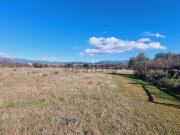 Terreno in vendita di 2000 m²