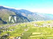 Terreno in vendita di 2000 m²