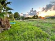 Terreno in vendita di 2000 m² in Traversa Papeo