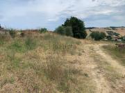 Terreno in vendita di 2000 m² in Via Giuseppe Leti