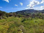 Terreno in vendita di 2000 m² in Via Grotte