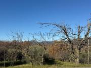 Terreno in vendita di 2000 m² in Via Rimembranze