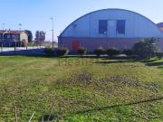 Terreno in vendita di 2000 m² in Via Roma