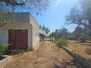 Terreno in vendita di 2000 m² in Via Vecchia Per...