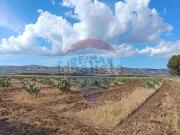 Terreno in vendita di 200860 m² in Contrada Bianca