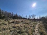 Terreno in vendita di 20100 m² in Via Flavia di Stramare