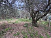 Terreno in vendita di 2021 m² in Strada di Bracciale