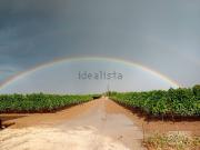 Terreno in vendita di 204474 m² in Contrada la Franca