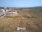 Terreno in vendita di 20460 m² in Strada Statale 652, 16