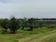 Terreno in vendita di 20506 m² in Strada Senza Nome