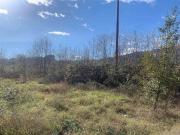 Terreno in vendita di 2050 m² in Via Trifoglietto